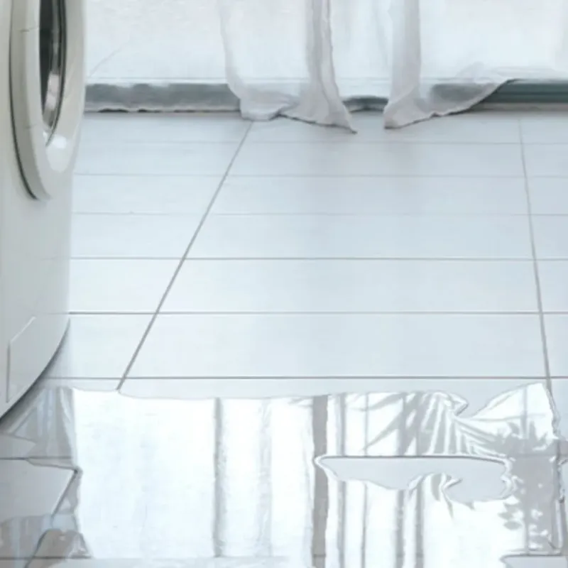 Appliance Leak Cleanup in Haines, AK