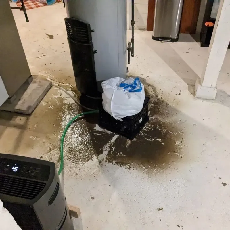 Sewage Backup Cleanup Service in Haines, AK